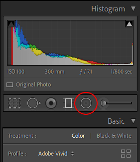 An image outlining the Radial filter in the guide to Lightroom Presets